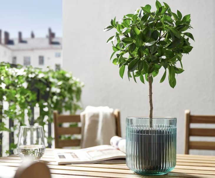 Best Colorful Planters and Plant Pots Apartment Therapy